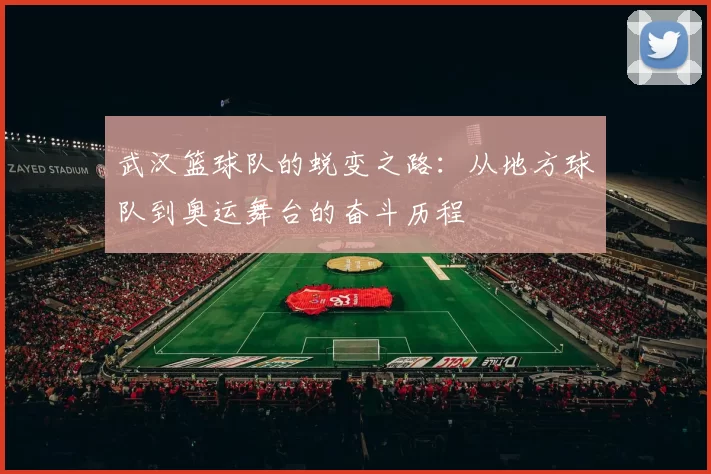 武汉篮球队的蜕变之路：从地方球队到奥运舞台的奋斗历程